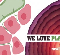 Nieuwe workshops rawfood superfoods WOWfood Arend van der Heijden